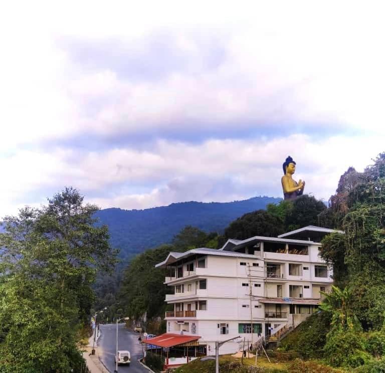 The Alnus Homestay *